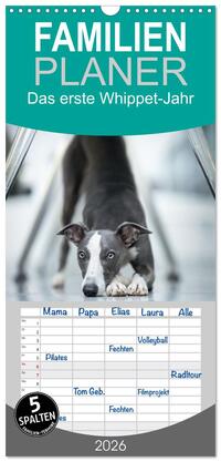Familienplaner 2026 - Das erste Whippet-Jahr mit 5 Spalten (Wandkalender, 21 x 45 cm) CALVENDO