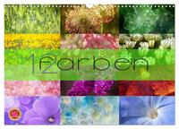 12 Farben (Wandkalender 2025 DIN A3 quer), CALVENDO Monatskalender