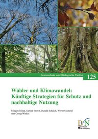 Wälder und Klimawandel: Künftige Strategien für Schutz und nachhaltige Nutzung