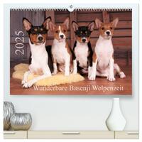 Wunderbare Basenji Welpenzeit (hochwertiger Premium Wandkalender 2025 DIN A2 quer), Kunstdruck in Hochglanz
