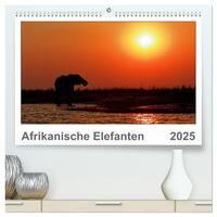 Afrikanische Elefanten (hochwertiger Premium Wandkalender 2025 DIN A2 quer), Kunstdruck in Hochglanz
