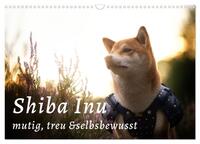 Vorderes Coverbild Shiba Inu - mutig, treu, selbstbewusst (Wandkalender 2026 DIN A3 quer), CALVENDO Monatskalender