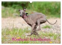 Windspiel Schönheiten (Wandkalender 2025 DIN A3 quer), CALVENDO Monatskalender