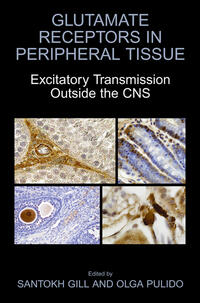Vorderes Coverbild Glutamate Receptors in Peripheral Tissue