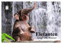 Elefanten. Spaß am Wasser (Wandkalender 2025 DIN A2 quer), CALVENDO Monatskalender