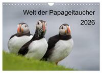 Welt der Papageitaucher (Wandkalender 2026 DIN A4 quer), CALVENDO Monatskalender