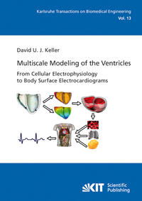 Multiscale Modeling of the Ventricles: From Cellular Electrophysiology to Body Surface Electrocardiograms