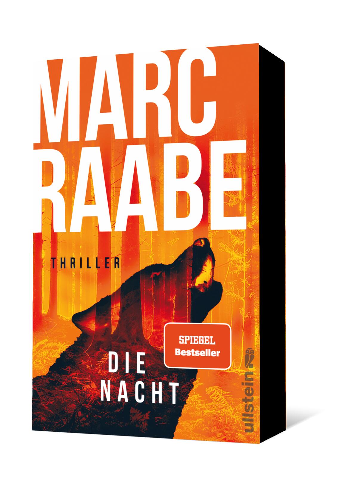 Die Nacht (Art Mayer-Serie 3)