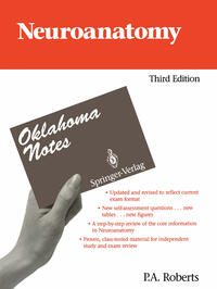 Neuroanatomy