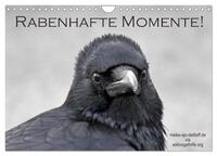 Rabenhafte Momente! (Wandkalender 2025 DIN A4 quer), CALVENDO Monatskalender
