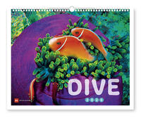 Dive 2026