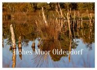 Hohes Moor Oldendorf (Wandkalender 2026 DIN A2 quer), CALVENDO Monatskalender