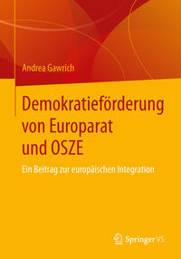 Vorderes Coverbild Demokratieförderung von Europarat und OSZE