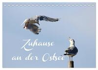 Zuhause an der Ostsee (Tischkalender 2025 DIN A5 quer), CALVENDO Monatskalender