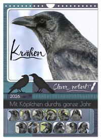 Krähen - Clever notiert! Mit Köpfchen durchs ganze Jahr (Wandkalender 2026 DIN A4 hoch), CALVENDO Monatskalender