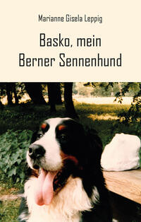 Basko, mein Berner Sennenhund