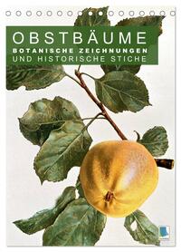 Obstbäume: Botanische Zeichnungen und historische Stiche (Tischkalender 2026 DIN A5 hoch), CALVENDO Monatskalender