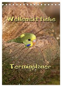 Wellensittiche Terminplaner (Tischkalender 2026 DIN A5 hoch), CALVENDO Monatskalender