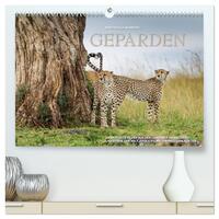 Emotionale Momente: Geparden (hochwertiger Premium Wandkalender 2026 DIN A2 quer), Kunstdruck in Hochglanz
