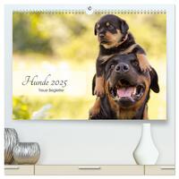 Hunde 2025 - Treue Begleiter (hochwertiger Premium Wandkalender 2025 DIN A2 quer), Kunstdruck in Hochglanz