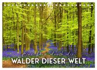 Eine Reise durch die Wälder dieser Welt (Tischkalender 2025 DIN A5 quer), CALVENDO Monatskalender