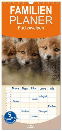 Familienplaner 2025 - Fuchswelpen mit 5 Spalten (Wandkalender, 21 x 45 cm) CALVENDO