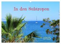 In den Subtropen (Wandkalender 2025 DIN A2 quer), CALVENDO Monatskalender