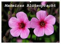Madeiras Blütenpracht (Wandkalender 2025 DIN A2 quer), CALVENDO Monatskalender