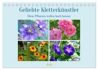 Geliebte Kletterkünstler (Tischkalender 2026 DIN A5 quer), CALVENDO Monatskalender
