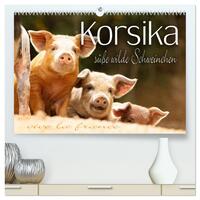 Korsika - süße, wilde Schweinchen (hochwertiger Premium Wandkalender 2026 DIN A2 quer), Kunstdruck in Hochglanz