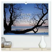 Bäume sind Träume (hochwertiger Premium Wandkalender 2026 DIN A2 quer), Kunstdruck in Hochglanz