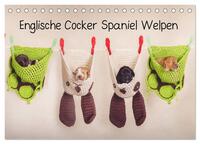 Englische Cocker Spaniel Welpen (Tischkalender 2025 DIN A5 quer), CALVENDO Monatskalender