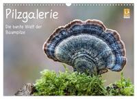 Pilzgalerie - Die bunte Welt der Baumpilze (Wandkalender 2025 DIN A3 quer), CALVENDO Monatskalender