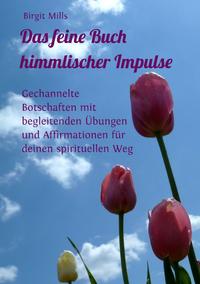 Das feine Buch himmlischer Impulse