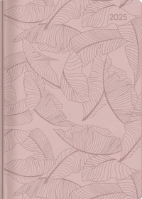 Vorderes Coverbild Alpha Edition - Ladytimer Grande Deluxe Salmon 2025 Taschenkalender, 15x21cm, Kalender mit 128 Seiten, Notizmöglichkeiten nach jedem Tag Übersichten und internationalem Kalendarium