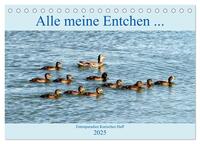 Alle meine Entchen ... Entenparadies Kurisches Haff (Tischkalender 2025 DIN A5 quer), CALVENDO Monatskalender