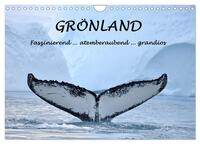Grönland Faszinierend atemberaubend grandios (Wandkalender 2026 DIN A4 quer), CALVENDO Monatskalender