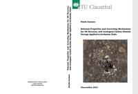 Relevant Properties and Governing Mechanisms for Oil Recovery and Geological Carbon Dioxide Storage Applied to Jordanian Shale