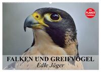 Falken und Greifvögel - Edle Jäger (Wandkalender 2026 DIN A2 quer), CALVENDO Monatskalender