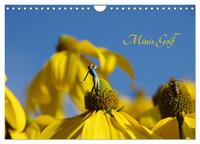 Minis Golf (Wandkalender 2025 DIN A4 quer), CALVENDO Monatskalender
