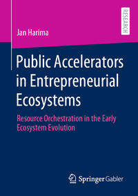 Vorderes Coverbild Public Accelerators in Entrepreneurial Ecosystems