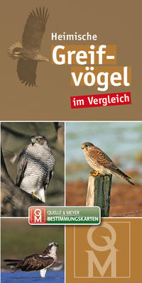 Vorderes Coverbild Greifvögel