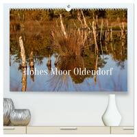 Hohes Moor Oldendorf (hochwertiger Premium Wandkalender 2026 DIN A2 quer), Kunstdruck in Hochglanz
