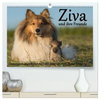 Vorderes Coverbild Ziva und ihre Freunde (hochwertiger Premium Wandkalender 2025 DIN A2 quer), Kunstdruck in Hochglanz
