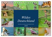Wildes Deutschland (Tischkalender 2026 DIN A5 quer), CALVENDO Monatskalender