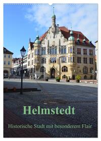 Helmstedt - Historische Stadt mit besonderem Flair (Wandkalender 2025 DIN A2 hoch), CALVENDO Monatskalender