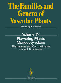 Flowering Plants. Monocotyledons