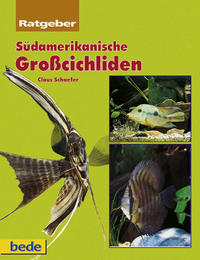 Südamerikanische Grosscichliden