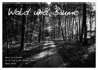 Wald und Bäume (Wandkalender 2025 DIN A3 quer), CALVENDO Monatskalender
