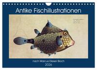 Antike Fischillustrationen nach Marcus Elieser Bloch (Wandkalender 2026 DIN A4 quer), CALVENDO Monatskalender